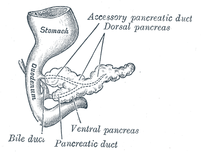 Fig. 1102