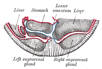 Fig. 1103