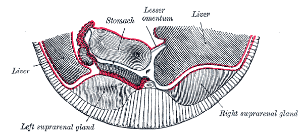 Fig. 1104