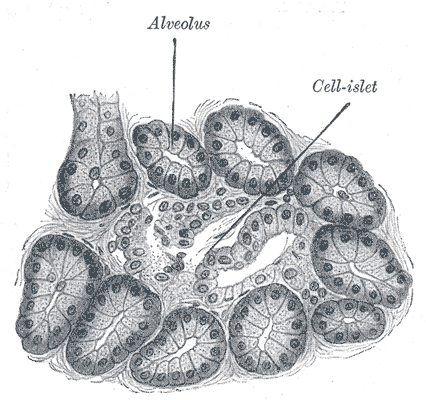 Fig. 1105