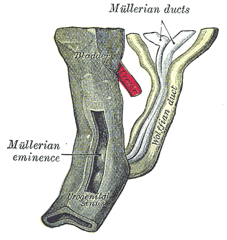 Fig. 1109