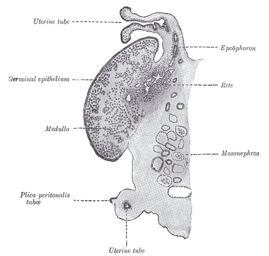 Fig. 1112