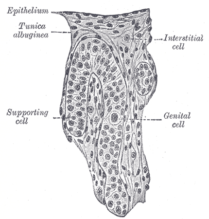 Fig. 1114