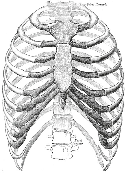 Fig. 112