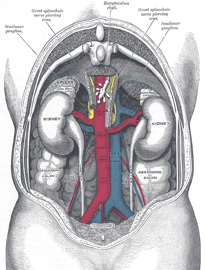 Fig. 1120