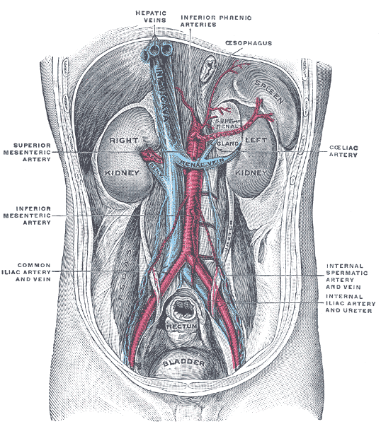Fig. 1121