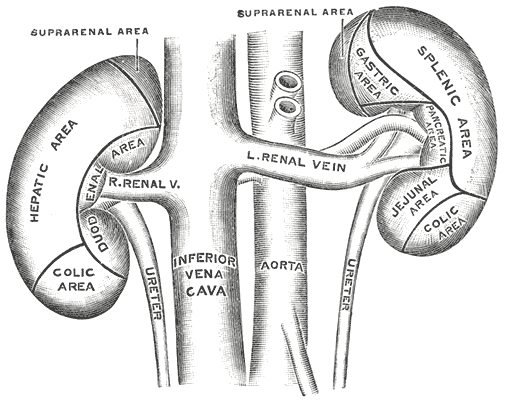 Fig. 1122
