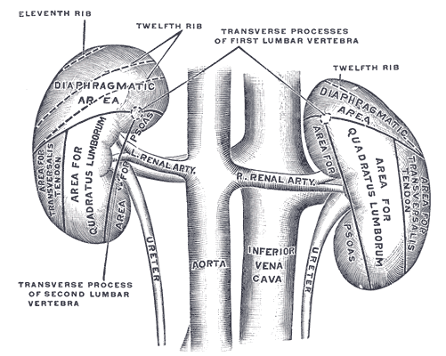 Fig. 1123