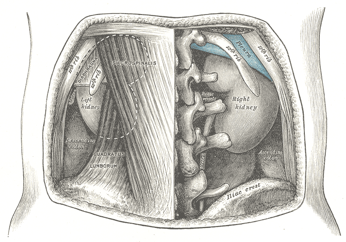 Fig. 1124
