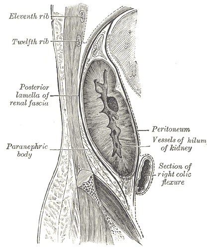 Fig. 1125