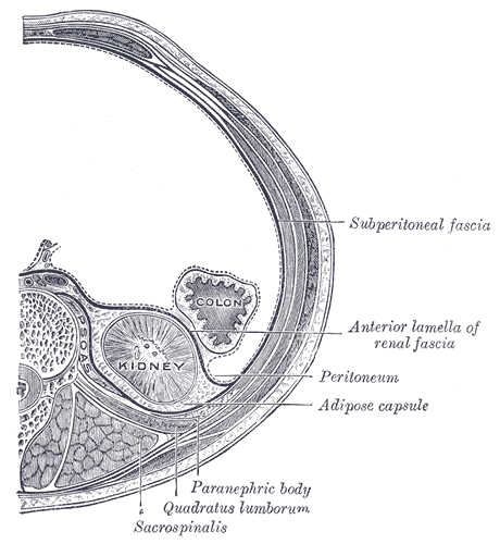 Fig. 1126