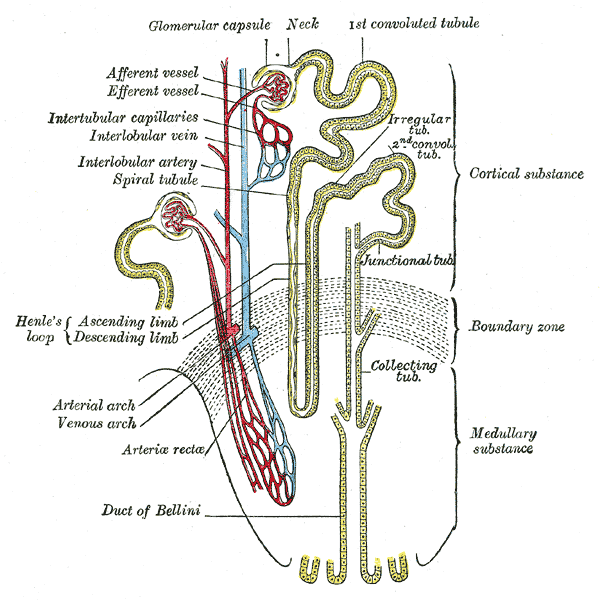 Fig. 1128