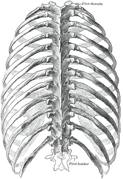 Fig. 113