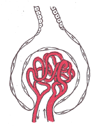 Fig. 1130