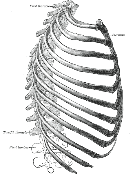 Fig. 114