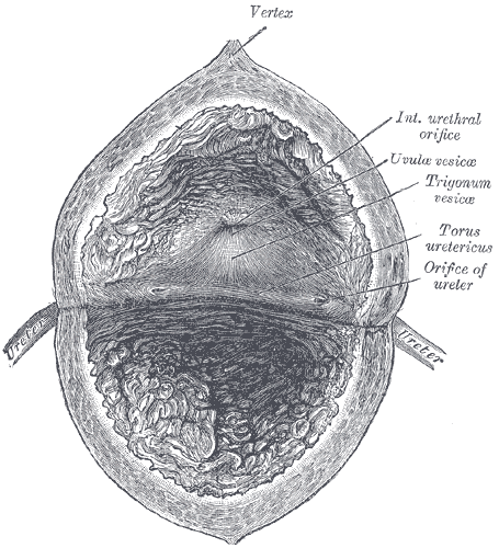 Fig. 1140