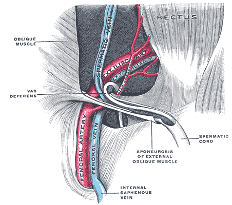 Fig. 1146