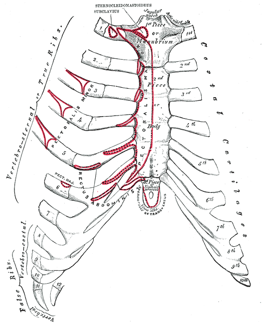 Fig. 115