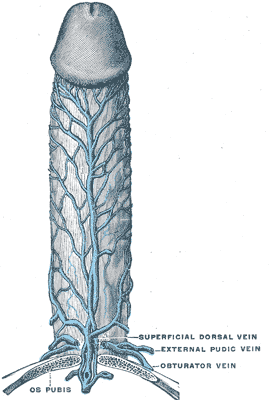 Fig. 1159