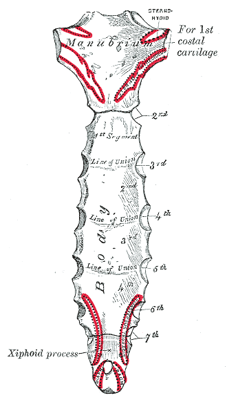 Fig. 116