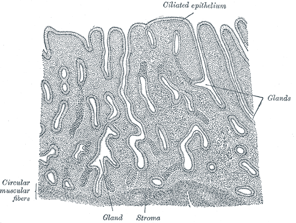 Fig. 1169