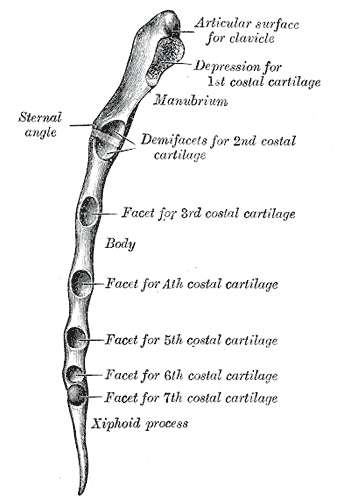Fig. 117