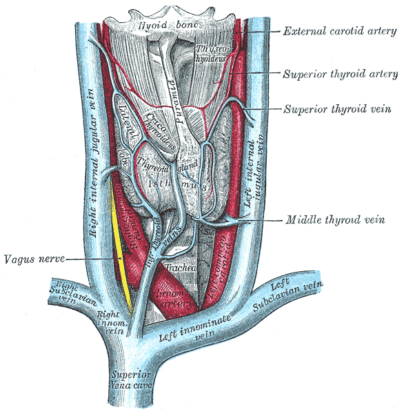 Fig. 1174