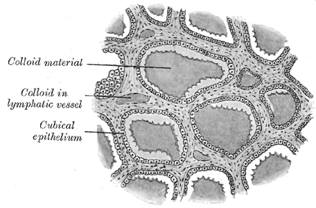 Fig. 1176