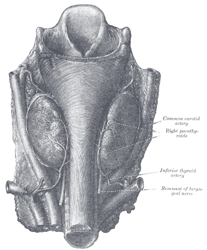 Fig. 1177