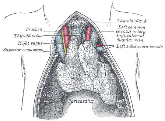 Fig. 1178