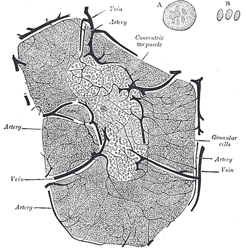Fig. 1179