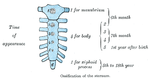 Fig. 118