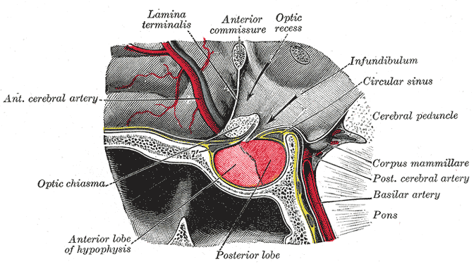 Fig. 1180