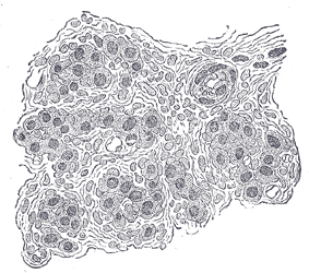 Fig. 1186