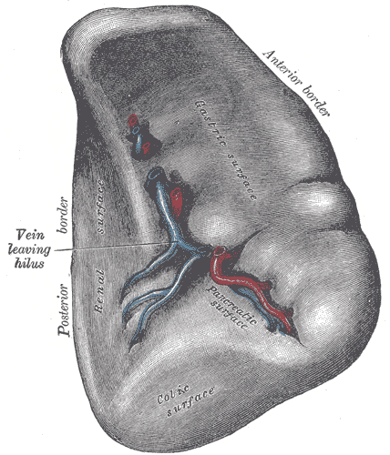 Fig. 1188