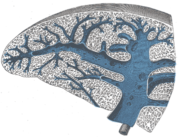 Fig. 1189