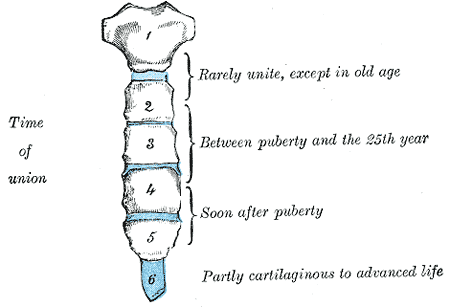 Fig. 119
