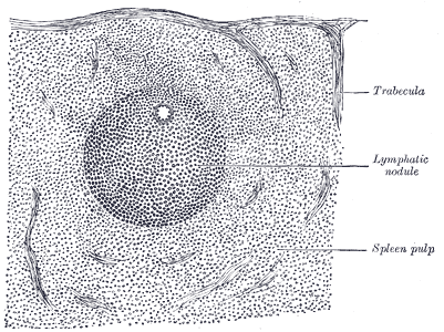Fig. 1191