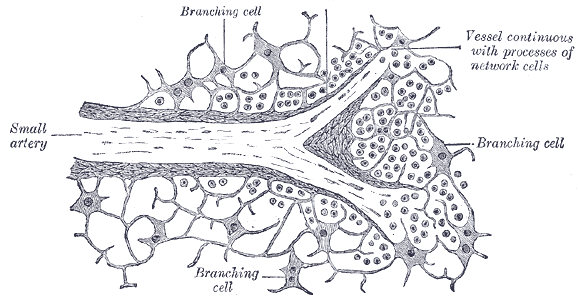 Fig. 1192