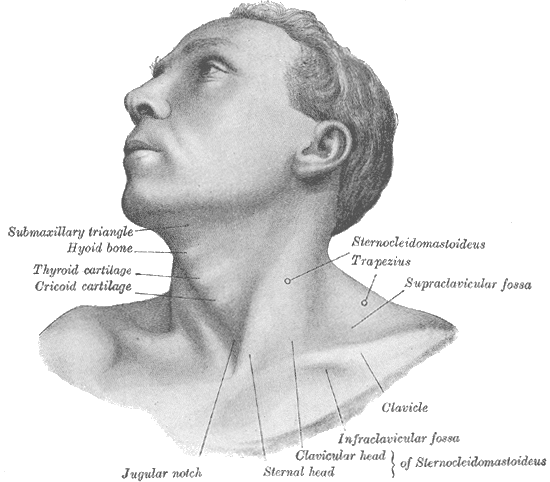 Fig. 1194