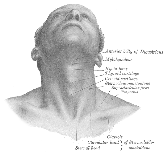 Fig. 1195