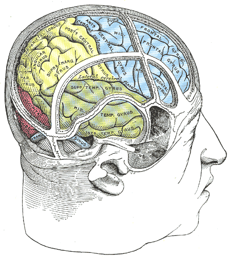 Fig. 1197