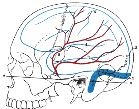 Fig. 1198