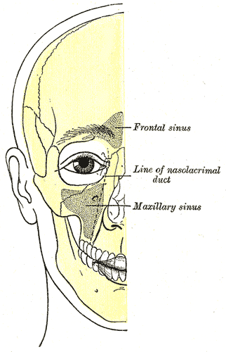 Fig. 1199