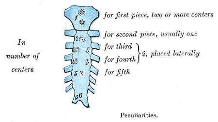Fig. 120