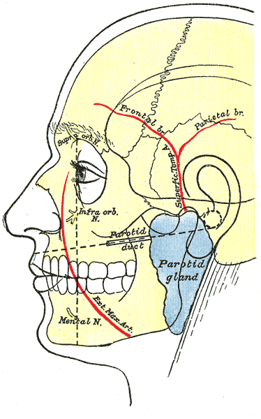Fig. 1200