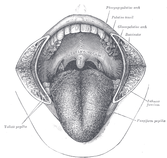 Fig. 1201