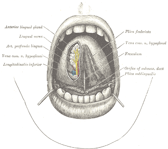 Fig. 1202