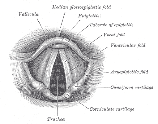 Fig. 1204