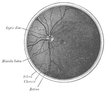 Fig. 1206